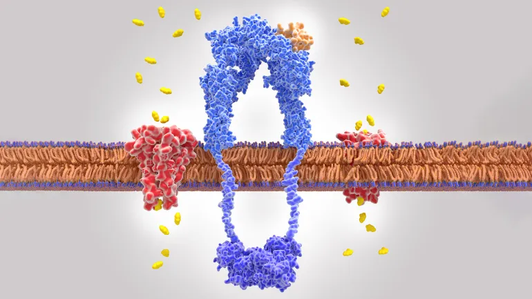 ما هي مقاومة الأنسولين؟ - مختبر رويال الطبي